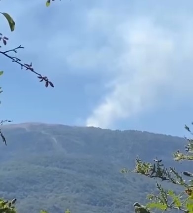 Susuz Yaylası'nda orman yangını çıktı