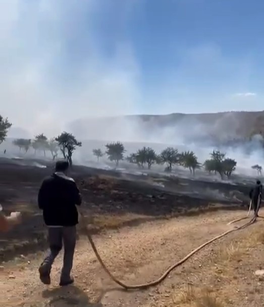 Susuz Yaylası'nda orman yangını çıktı