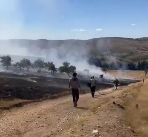 Susuz Yaylası'nda orman yangını çıktı