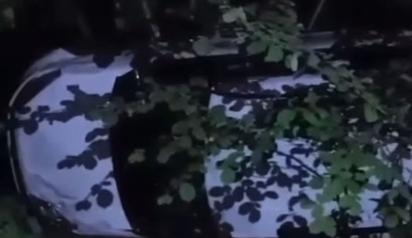 Takla atıp fındıklığa uçtu