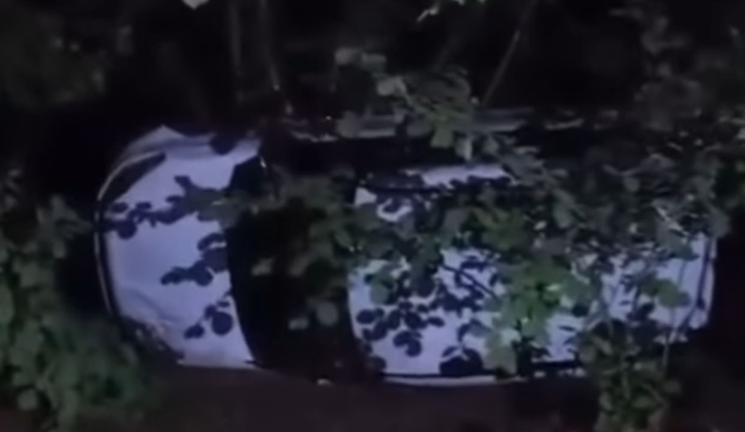 Takla atıp fındıklığa uçtu