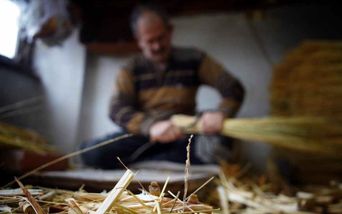 Tanesi 150 lira; Teknolojiye direniyor