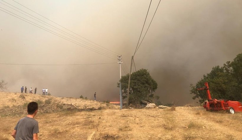 Taraklı'da büyük orman yangını