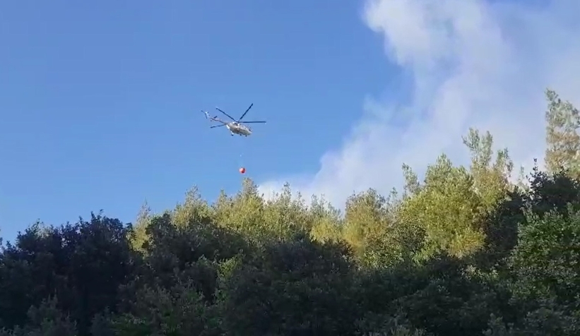 Taraklı'da orman yangını