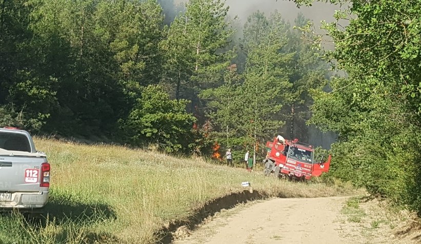 Taraklı'da orman yangını