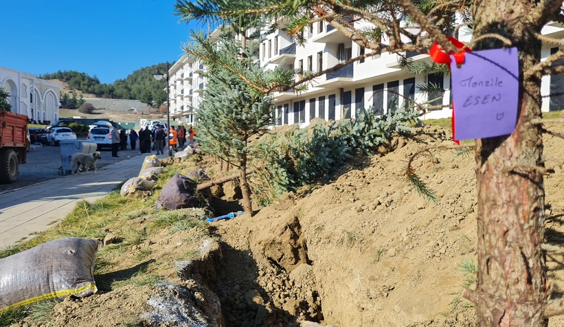 Taraklı Termal’de her devremülk sahibinin ağacı olacak