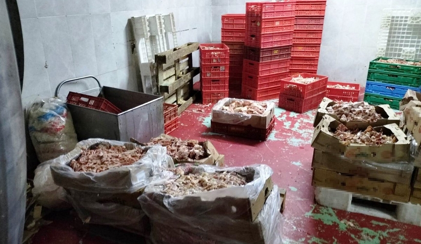 Tarihi geçmiş tavukları piyasa süreceklerdi, zabıta buldu