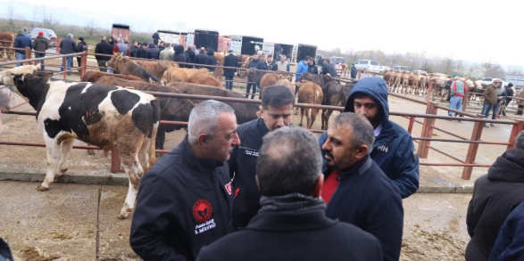 Tarım Müdürü'nden hayvan pazarında inceleme