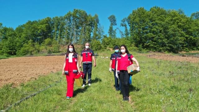 Tarlada aşı hizmeti