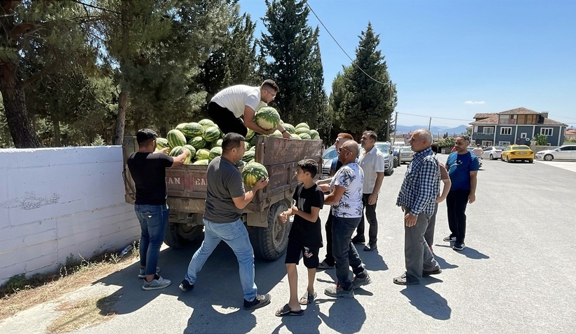 Tarlada Çürümeye Terk Edilen Karpuzlar Vatandaşa Ücretsiz Dağıtıldı