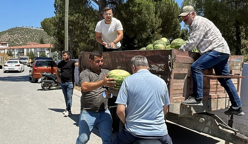 Tarlada Çürümeye Terk Edilen Karpuzlar Vatandaşa Ücretsiz Dağıtıldı