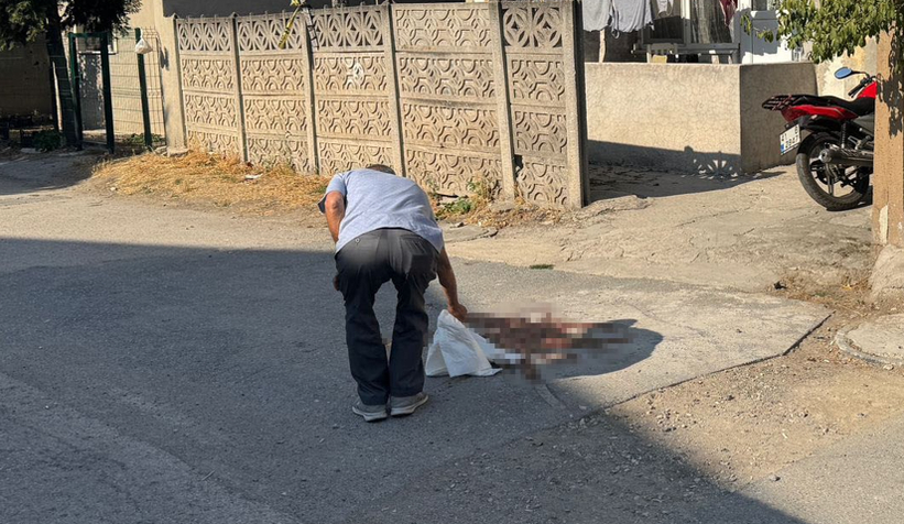 Tartıştığı babasını vurdu