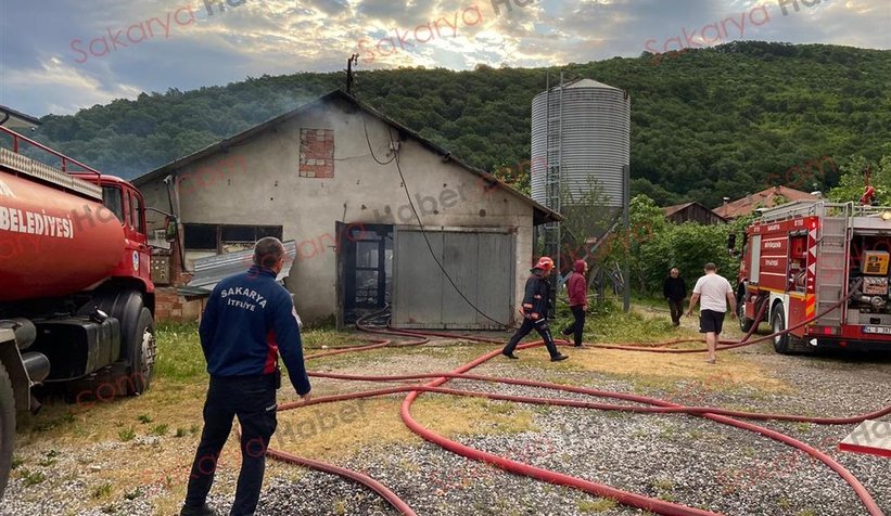 Tavuk çiftliği yandı: Binlerce civciv telef oldu