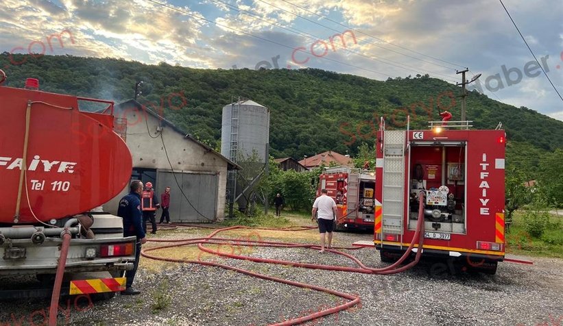 Tavuk çiftliği yandı: Binlerce civciv telef oldu