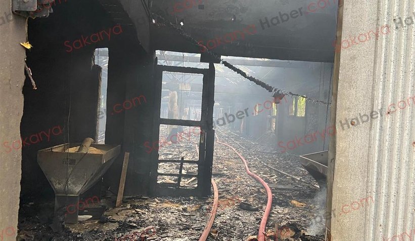 Tavuk çiftliği yandı: Binlerce civciv telef oldu