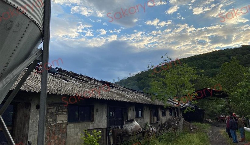 Tavuk çiftliği yandı: Binlerce civciv telef oldu