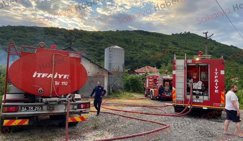 Tavuk çiftliği yandı: Binlerce civciv telef oldu