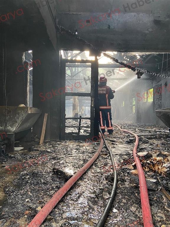 Tavuk çiftliği yandı: Binlerce civciv telef oldu