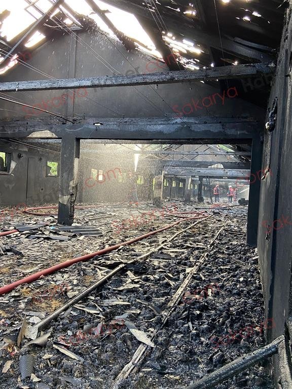 Tavuk çiftliği yandı: Binlerce civciv telef oldu