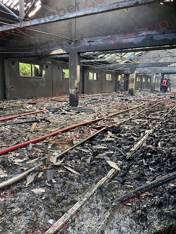 Tavuk çiftliği yandı: Binlerce civciv telef oldu