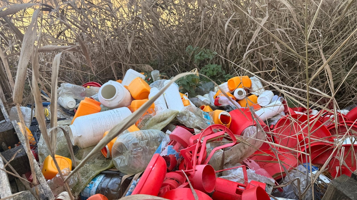 Tavuk çiftliğinde skandal görüntüler