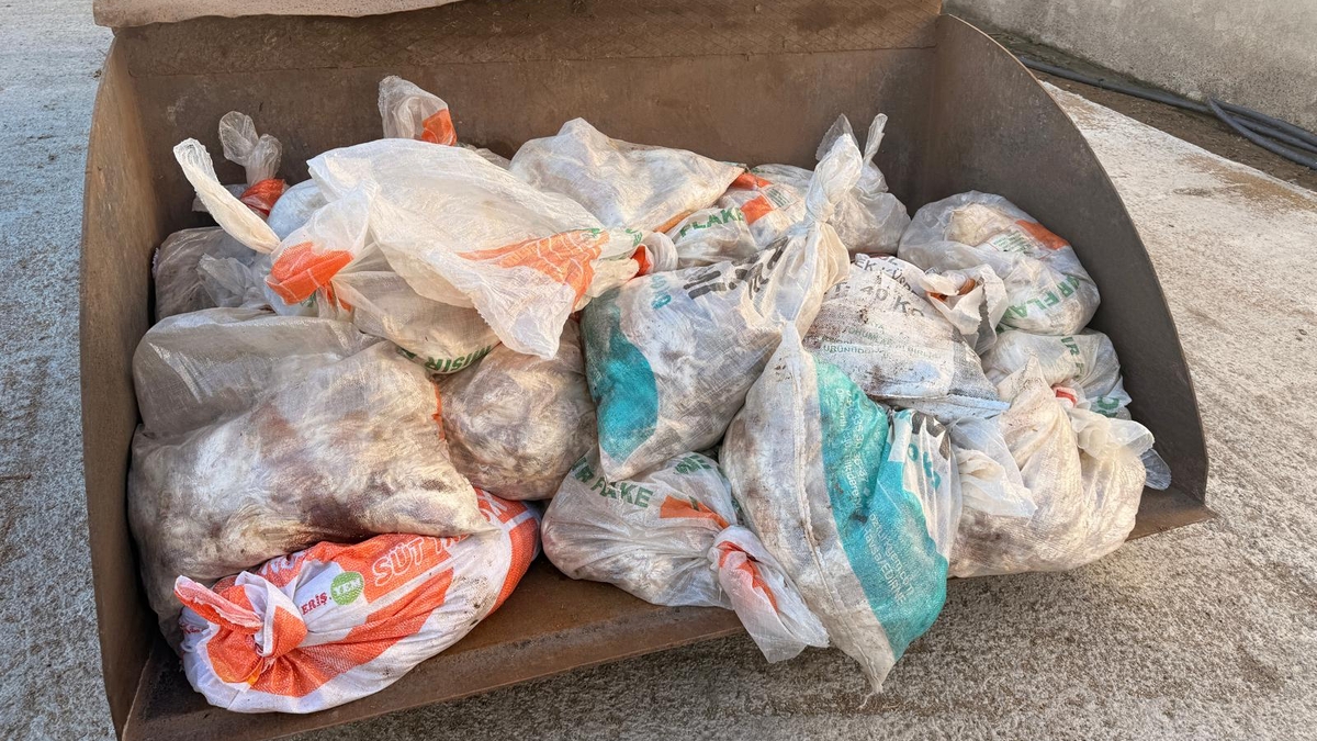 Tavuk çiftliğinde skandal görüntüler