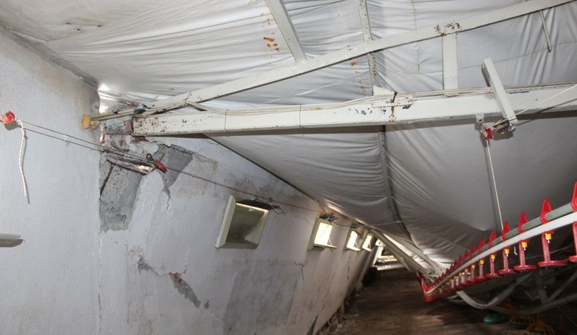 Tavuk çiftliğinin çatısı çöktü