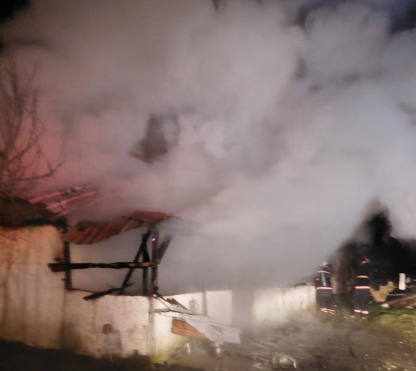 tek-katli-ev-kul-oldus0ttvvvqu3