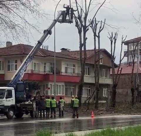 tekme-tokat-birbirlerine-girdilerk3n4ay9lwm