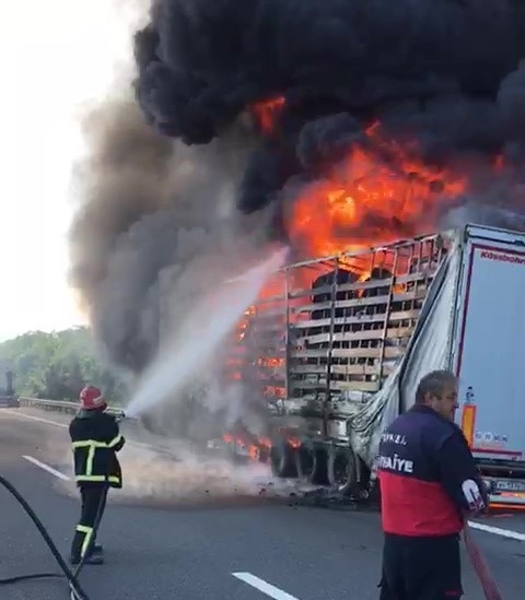 Tekstil malzemesi yüklü tır alev alev yandı