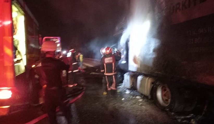 TEM'de bisküvi yüklü tır yandı