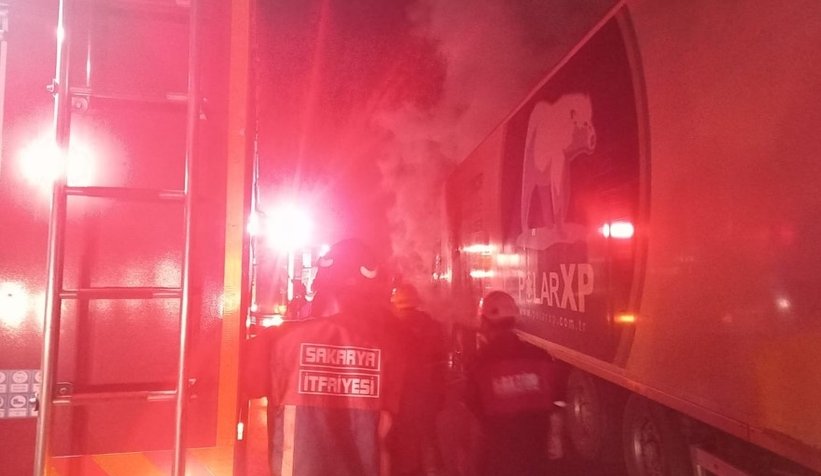 TEM'de bisküvi yüklü tır yandı