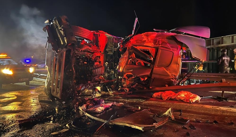 TEM'de feci kaza; Sürücü can verdi