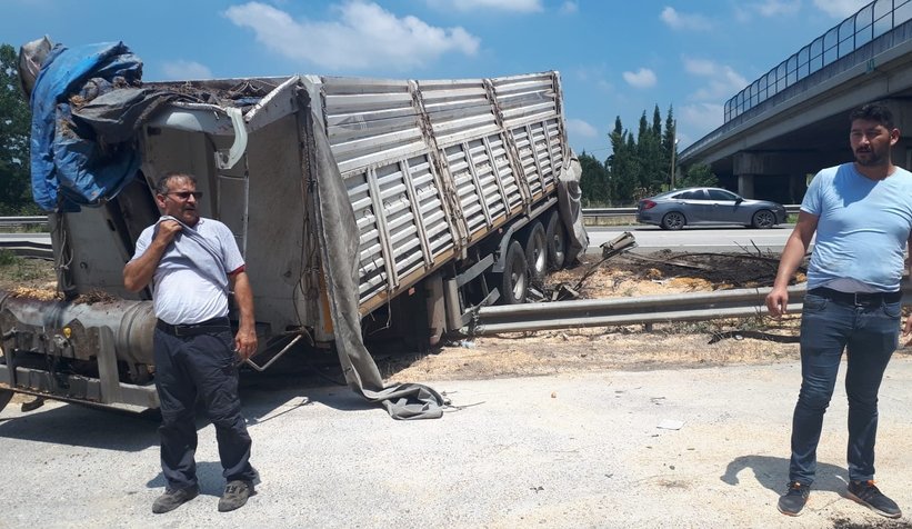 TEM'de mısır yüklü tır devrildi