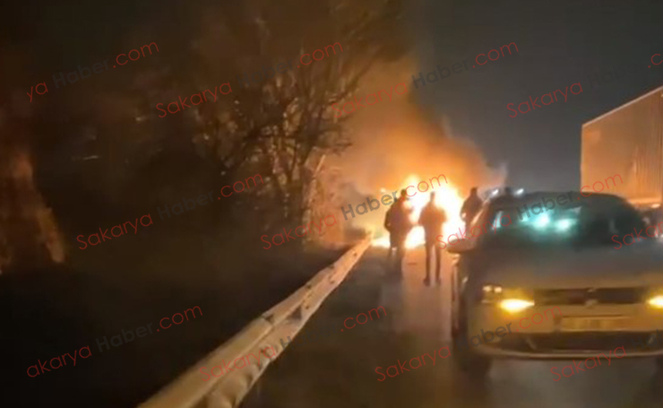 TEM'de yanan araçtaki 2 kişi ve hayvanlar kurtuldu