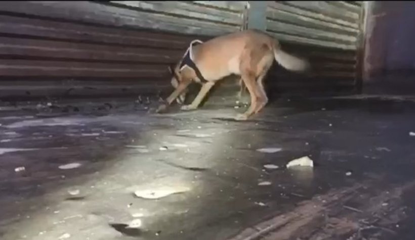 TEM’de dev operasyon!