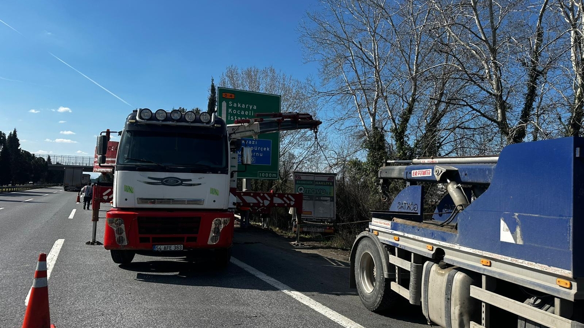 TEM’de kurbanlık taşıyan tır şarampole uçtu
