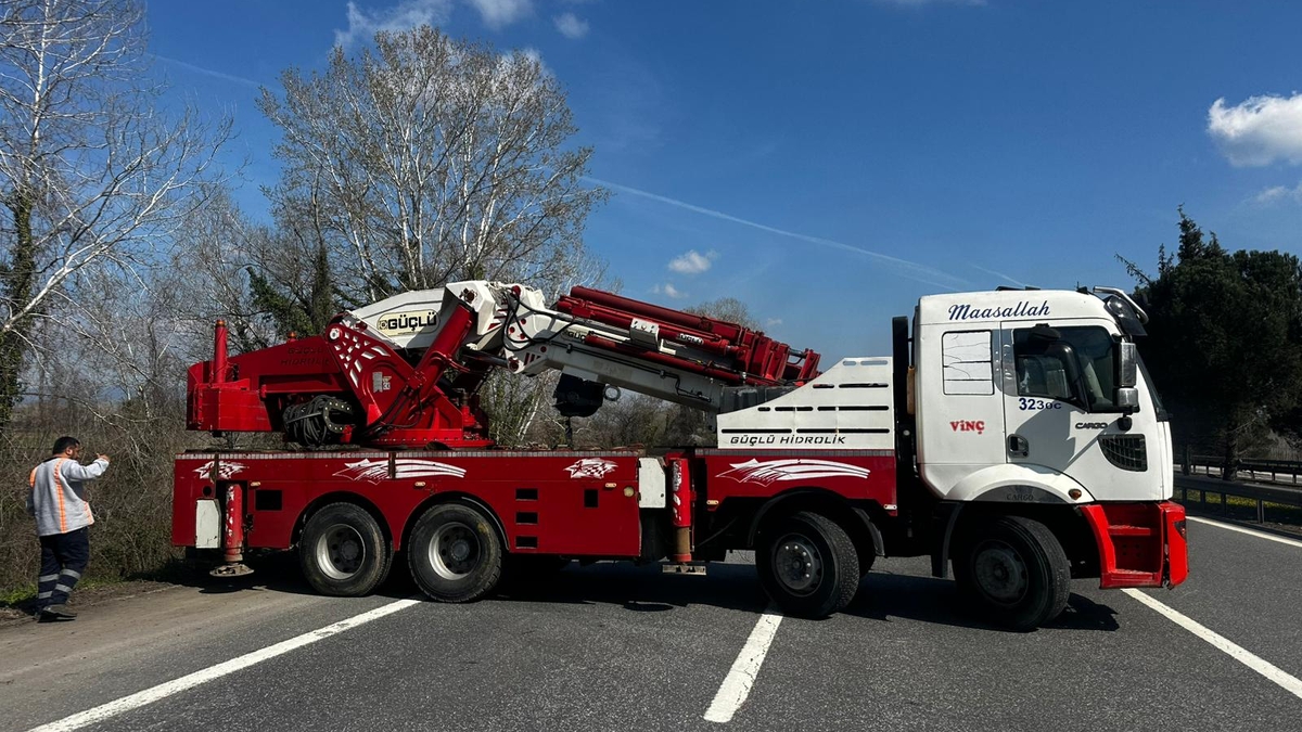 TEM’de kurbanlık taşıyan tır şarampole uçtu