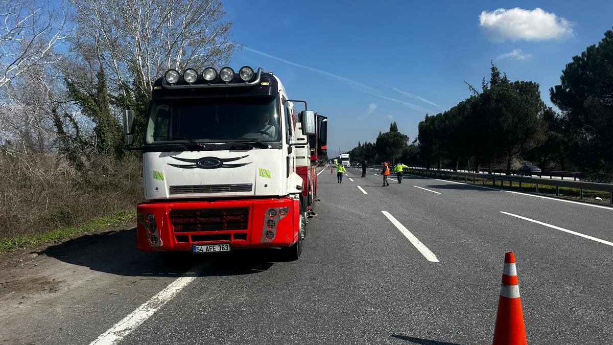 TEM’de kurbanlık taşıyan tır şarampole uçtu