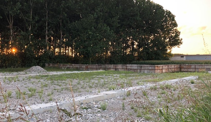 Terminal inşaatı durdu yerinde otlar çıktı