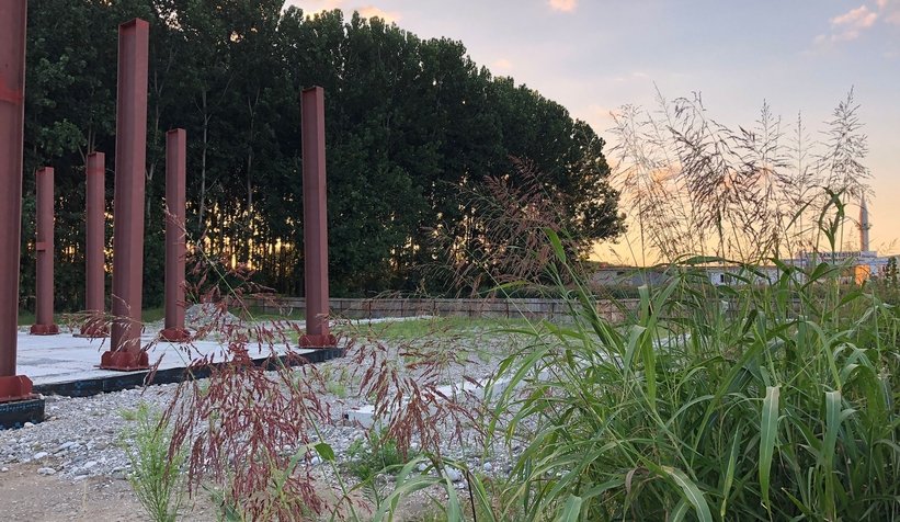 Terminal inşaatı durdu yerinde otlar çıktı