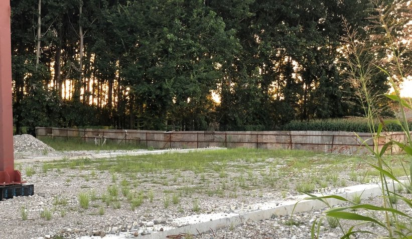 Terminal inşaatı durdu yerinde otlar çıktı