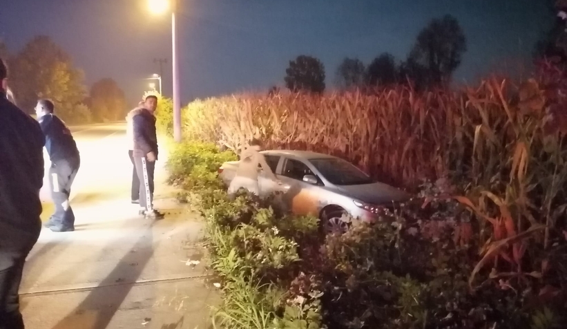 Tarlaya uçan otomobilde sürücü yaralandı