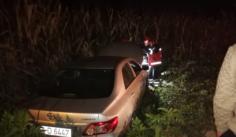 Tarlaya uçan otomobilde sürücü yaralandı