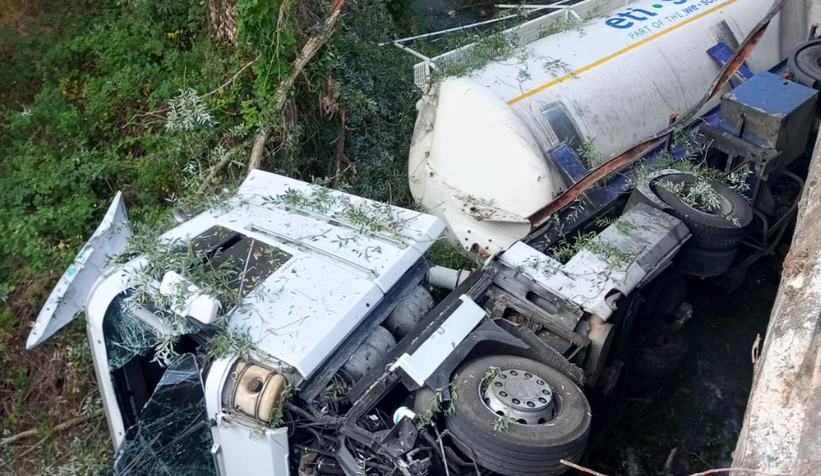 Tilkiye çarpmamak için kaza yaptı