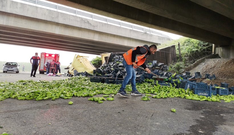 Tır köprüden aşağı düştü: 2 yaralı