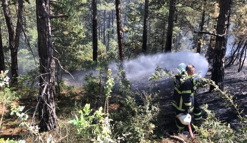 Tırlar kafa kafa çarpıştı, orman yangını çıktı