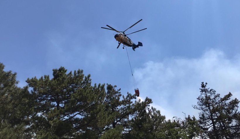 Tırlar kafa kafa çarpıştı, orman yangını çıktı