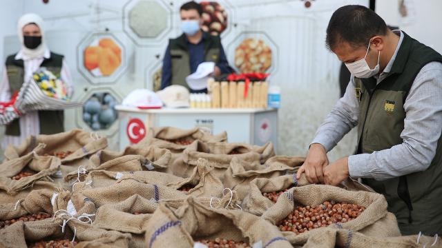 TMO fındık alımına başladı