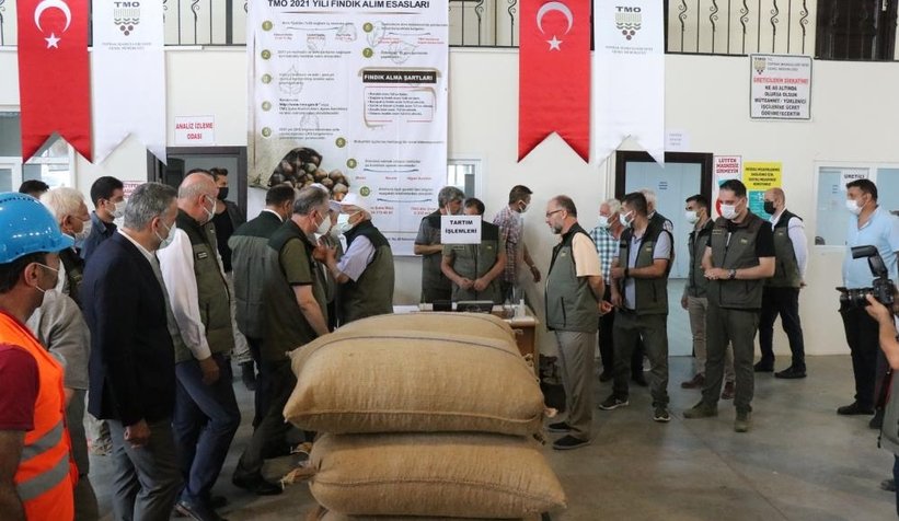 TMO fındık alımına törenle başladı